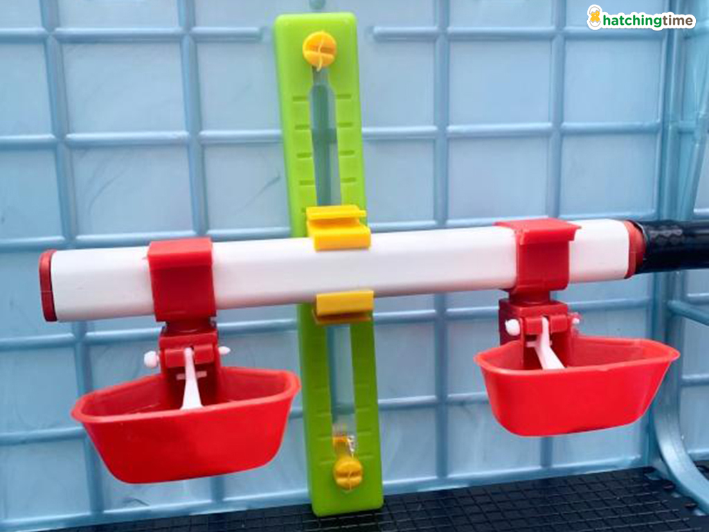 Odchovna drůbeže CIMUKA CB40-03-3K