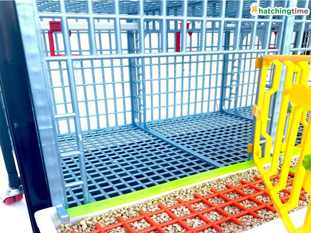 Klec pro odchov drůbeže CIMUKA GL40-03-1K