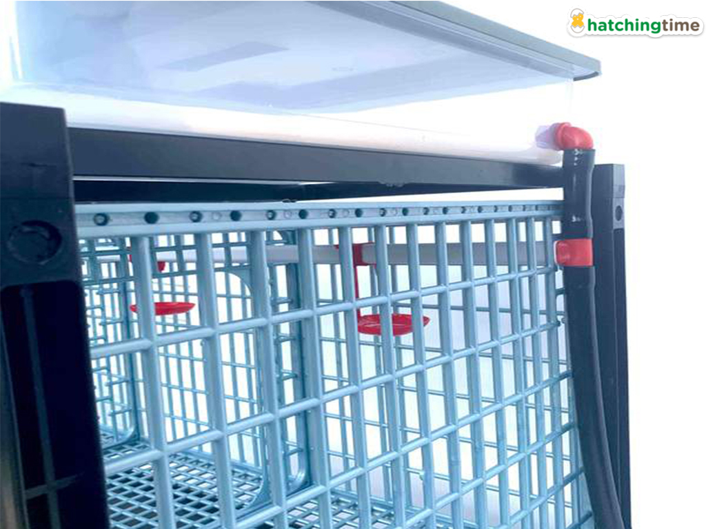 Klec pro odchov drůbeže CIMUKA GL40-03-1K