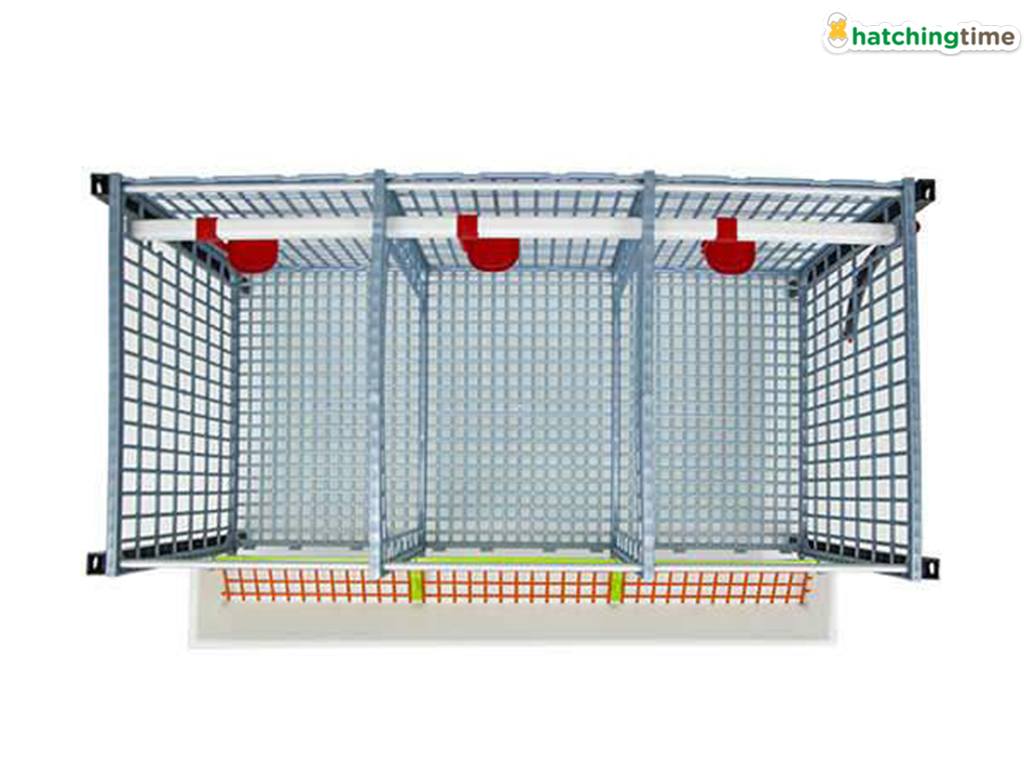 Klec pro odchov drůbeže CIMUKA GL40-03-TA