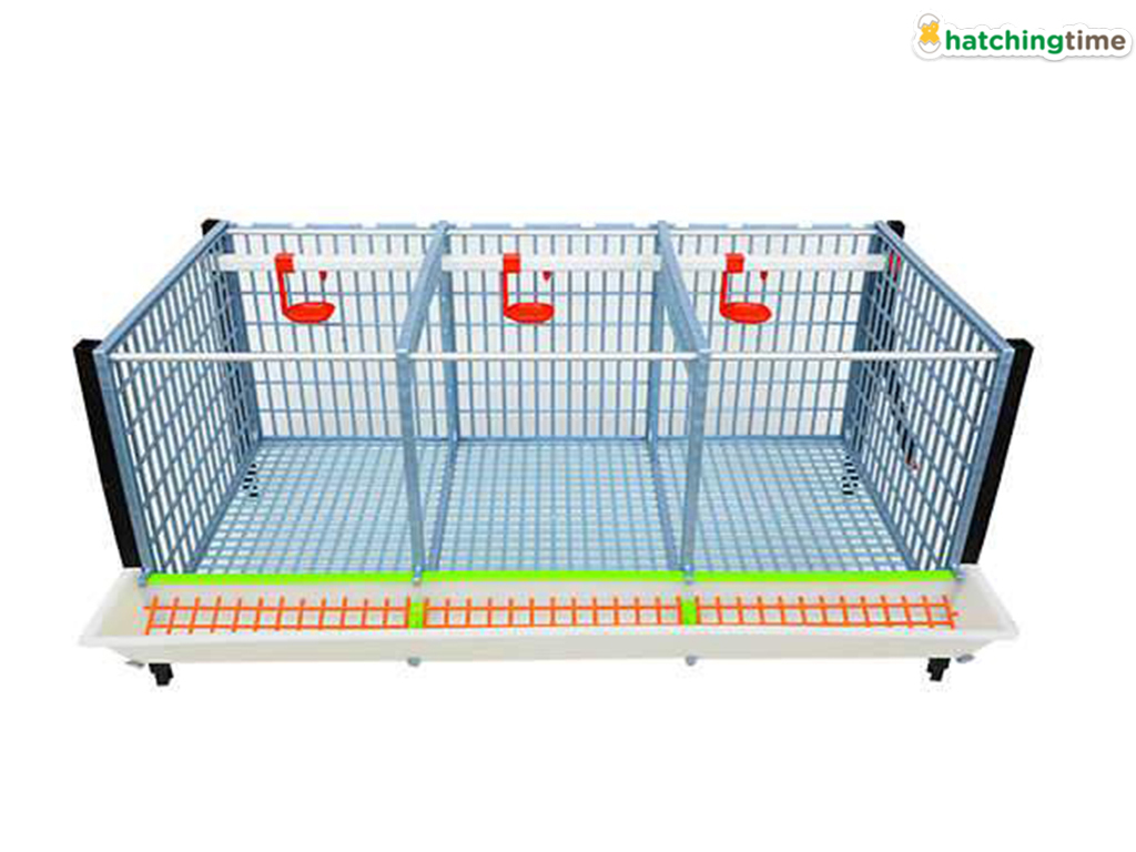 Klec pro odchov drůbeže CIMUKA GL40-03-TA