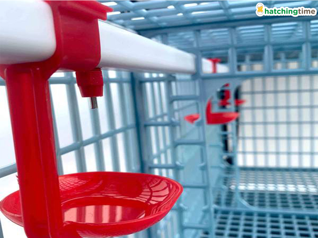 Klec pro odchov drůbeže CIMUKA GL40-03-4K