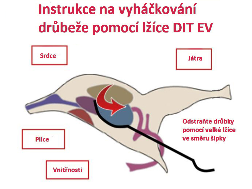 Nerezová lžíce k vyvržení vnitřností SPIUMATRICE DIT EV