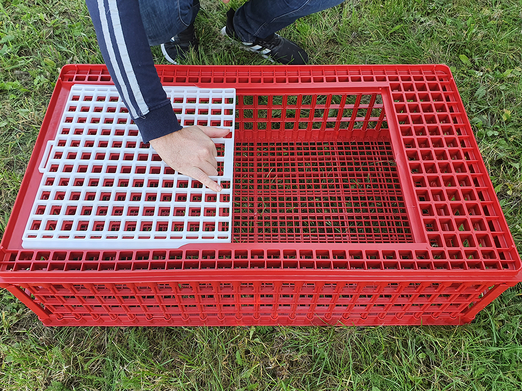 Přepravní box na živou drůbež CRATE MOD A1 - 95,5x57x27,5cm