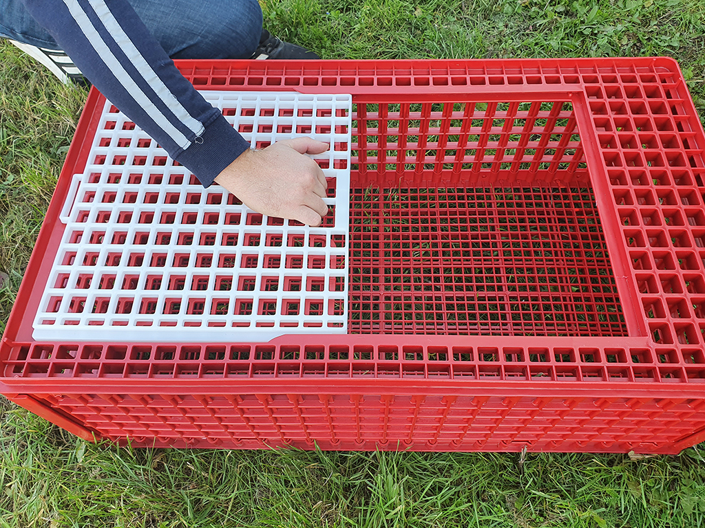 Přepravní box na živou drůbež CRATE MOD B1 - 95,5x57x32,5cm