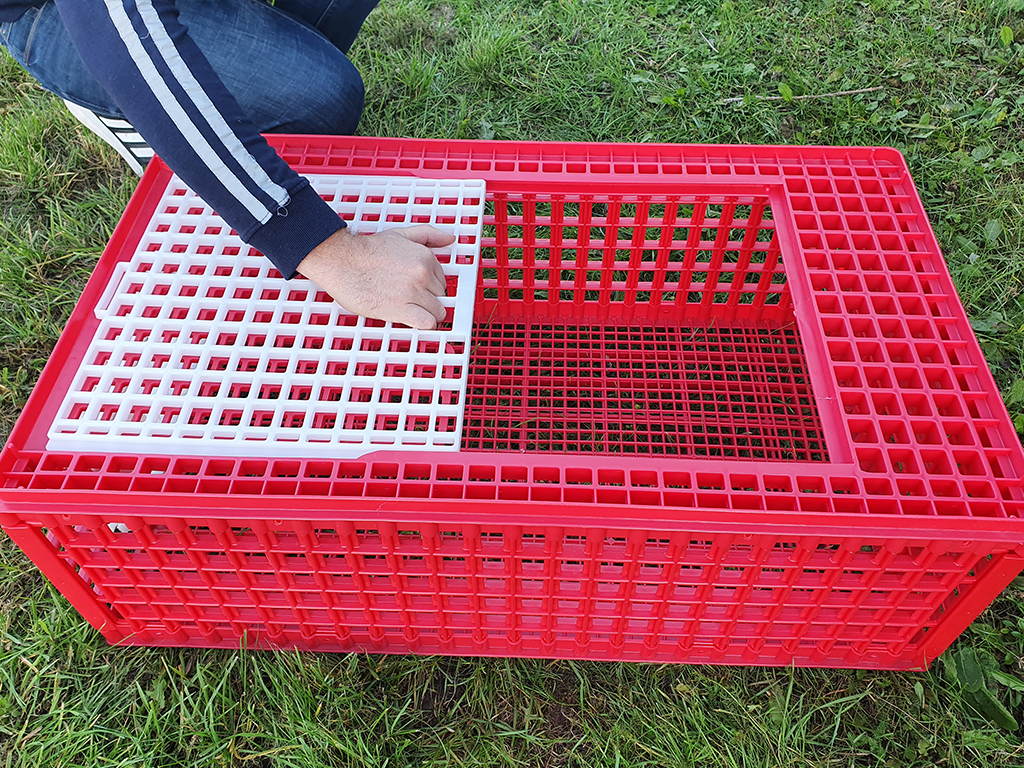 Přepravní box na živou drůbež CRATE MOD B2 - 95,5x57x32,5cm