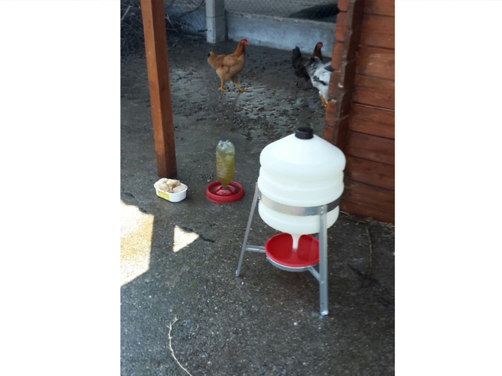 Barelová napáječka pro drůbež plastová CF 006.10 SATURNO - 30l