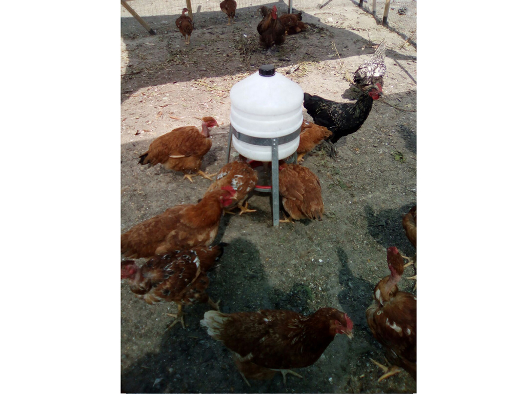 Barelová napáječka pro drůbež plastová CF 006.10 SATURNO - 30l