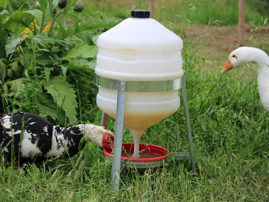 Barelová napáječka pro drůbež plastová CF 006.10 SATURNO - 30l