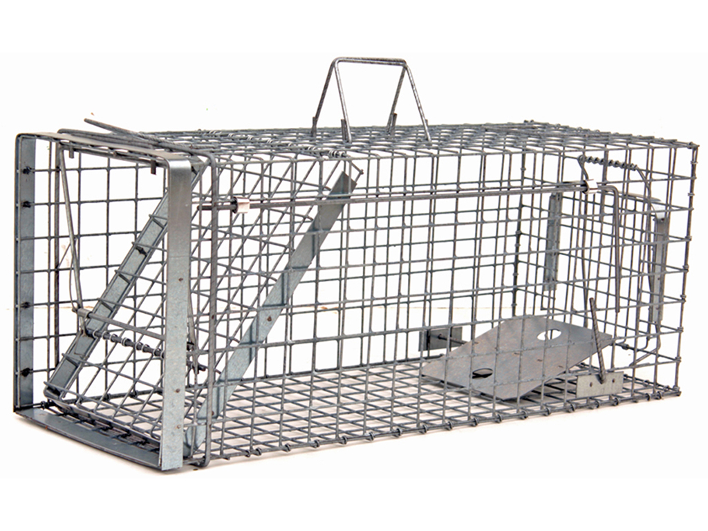 Profesionální past na kuny a kočky  TRAP H80x34x34