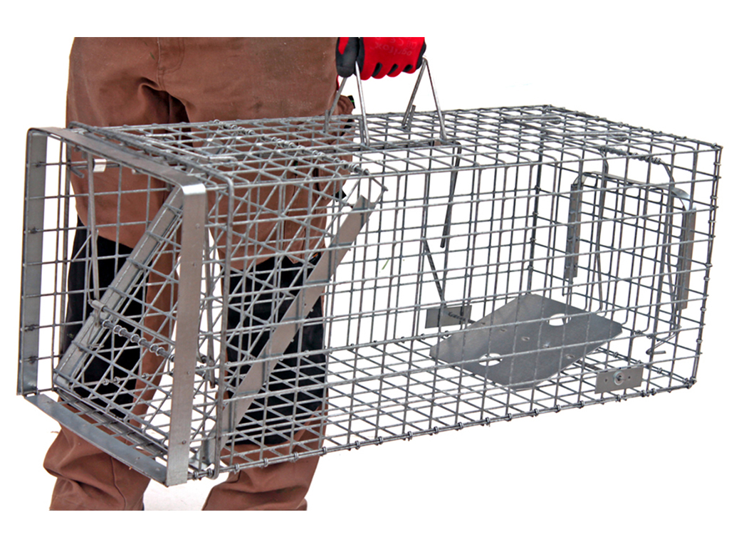 Profesionální past na kuny a kočky  TRAP H80x34x34