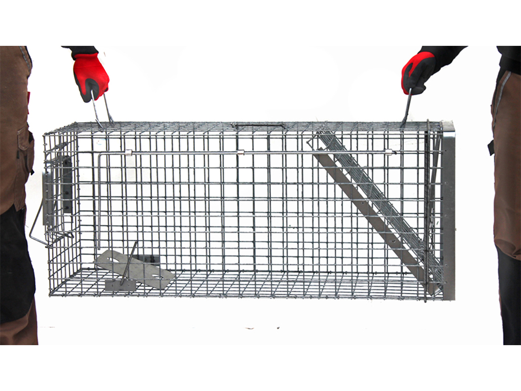 Profesionální past na kuny a kočky  TRAP H80x34x34