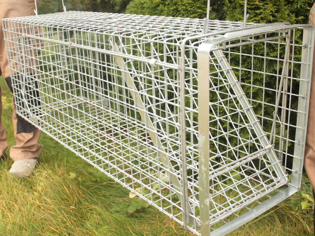 Profesionální past na kuny a kočky  TRAP H80x34x34