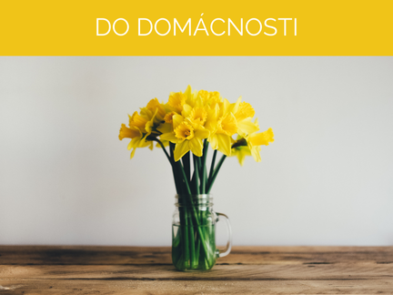 Do domácnosti