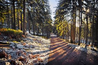 Brrr😀❄️ Cesta na Prahu když mrzne. #brdy #brdyapodbrdsko #chkobrdy #ceskakrajina #ceskapriroda
