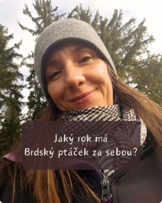 Jaký měl Brdský ptáček rok 2025 a co plánuje na rok 2026? 🎉 👉Spuštění e-shopu, první objednávky, trhy a spolupráce, ale...