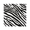 Zebra pattern
