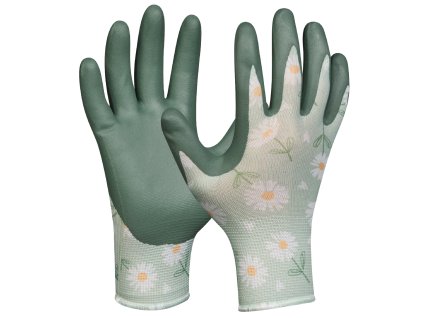 779813.Gardeluxe Daisy gruen 202