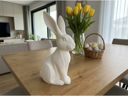 downloaded file (10)