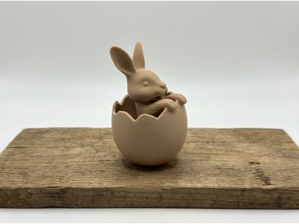 downloaded file (12)