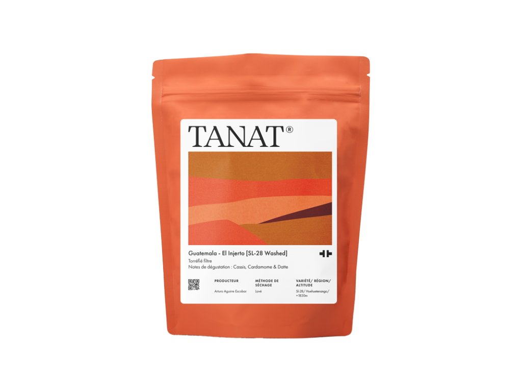 PAQUETWEB INjertoSL28WASH