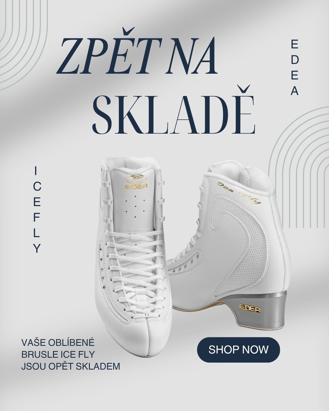 ice fly