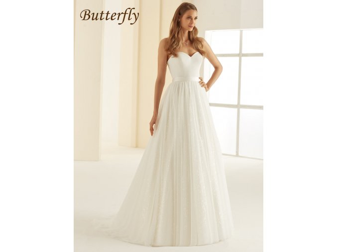 Butterfly1
