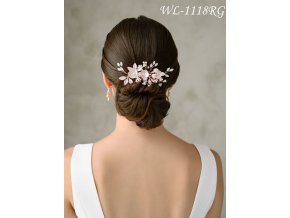 WL 1118RG 3