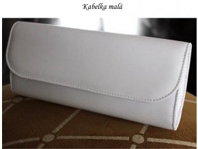 Model 1