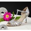 D 401 silver