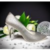 D 207 2silver