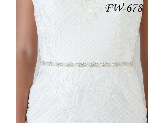 FW 678 4