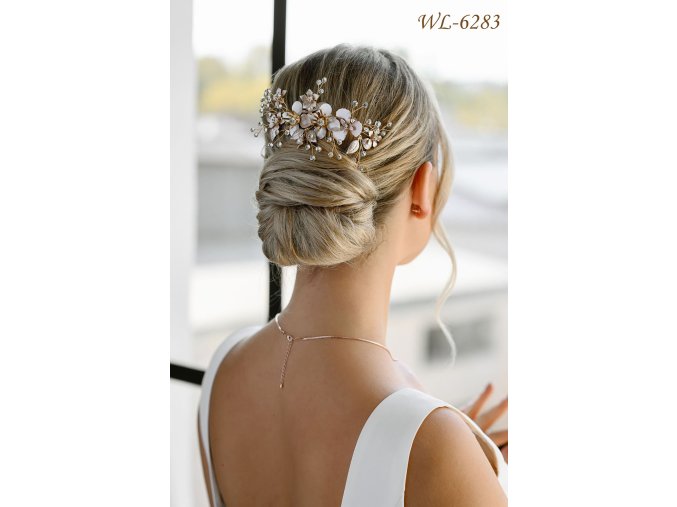WL 6283