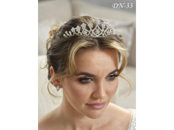 DN-33 tiara do vlasov
