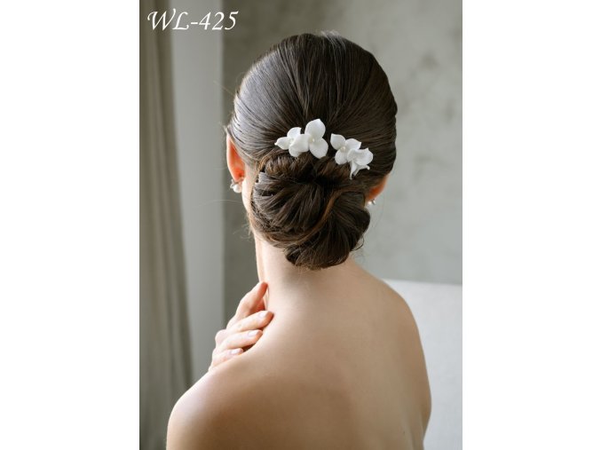 WL 425 3