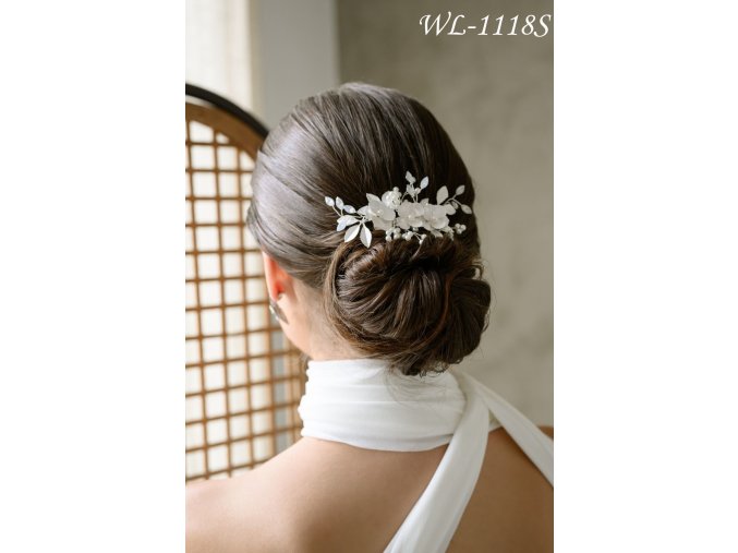 WL 1118S 3