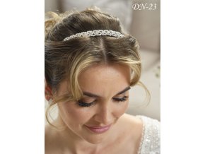 DN-23 tiara do vlasov