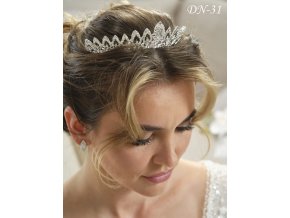 DN-31 tiara do vlasov