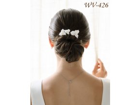 WV 426 3
