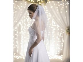 Z 36