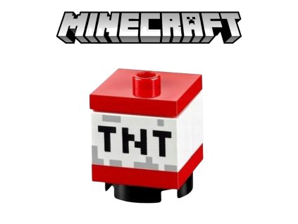 Minecraft (10)