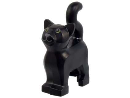 CMF 2026 01 29T154111.267