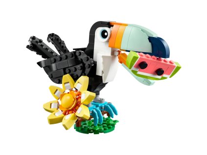 5235 divoka zvirata tropicky tukan 31173