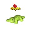 Duplo 2025 11 15T160158.275