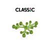 LEGO® LIST 6x5 - Rostliny (Barva White)