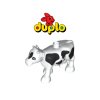 Duplo (68)