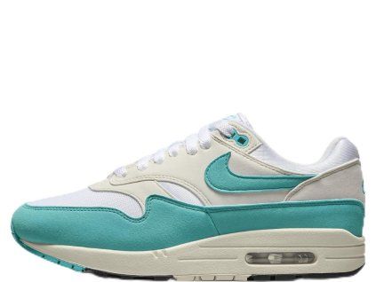 Nike Air Max 1 Dusty Cactus (W) 1 (1)