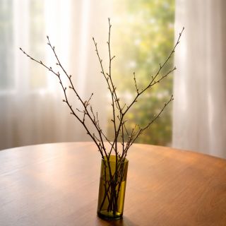 🌿 Jaro si můžete přinést i domů. Stačí pár větviček do vázy a můžete sledovat, jak se příroda probouzí přímo u vás na...