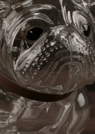 Demižony--mimeSlider=big