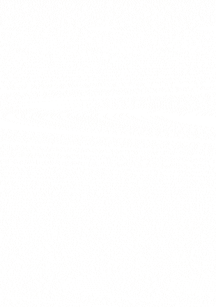 Test --mimeSlider=big